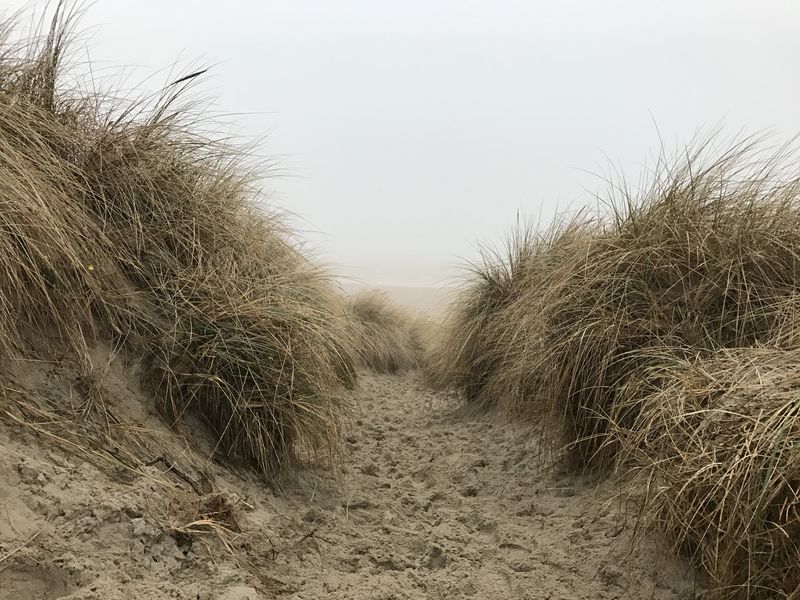 Sandpfad zwischen den Dünen