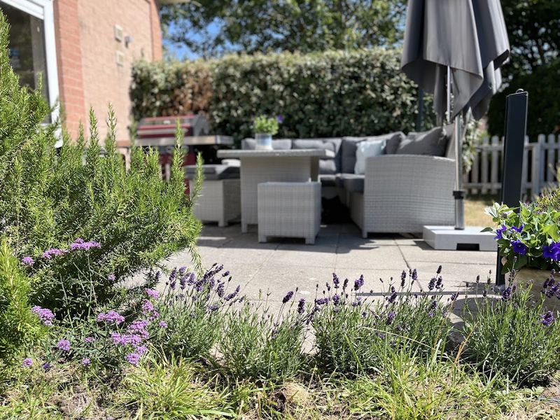 Lounge-Terrasse hinter Lavendel